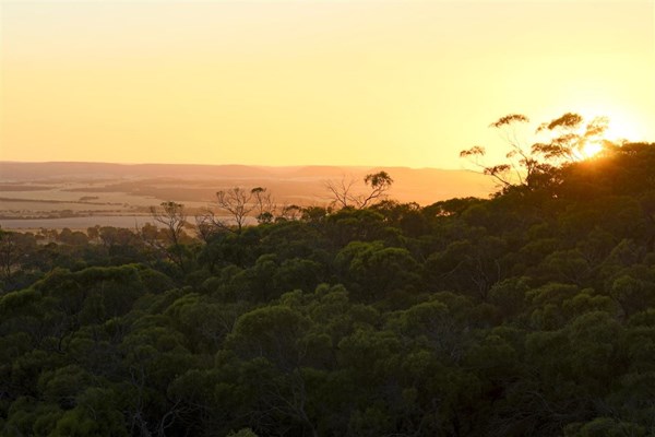 Locations - Mills Lookout at sunrise