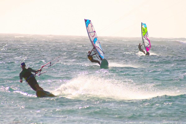 Activities - Wind Surfers