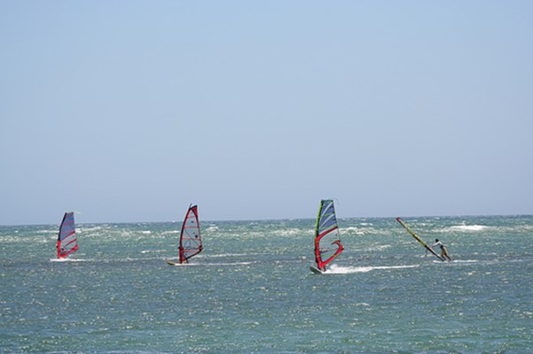 Activities - Wind Surfing